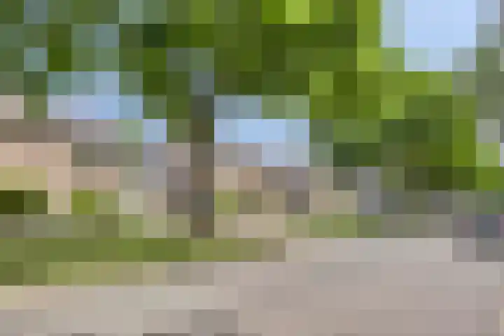 Loostreeplaan 42 Someren thumbnail 35
