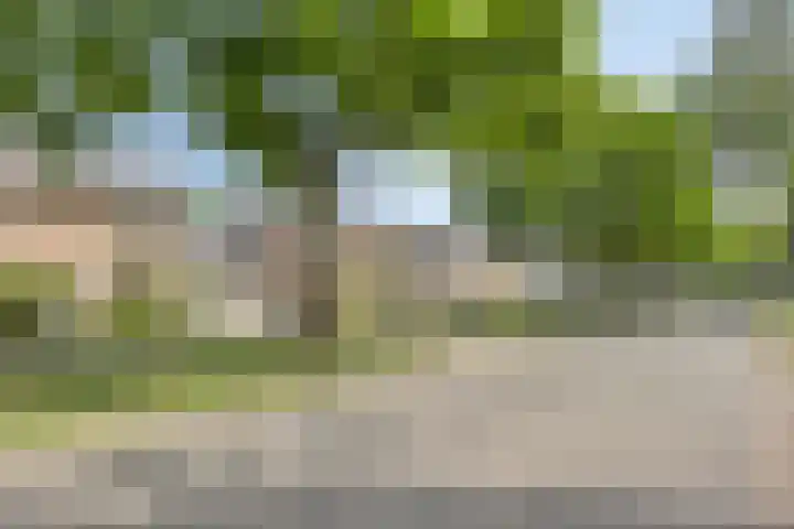 Loostreeplaan 42 Someren thumbnail 39
