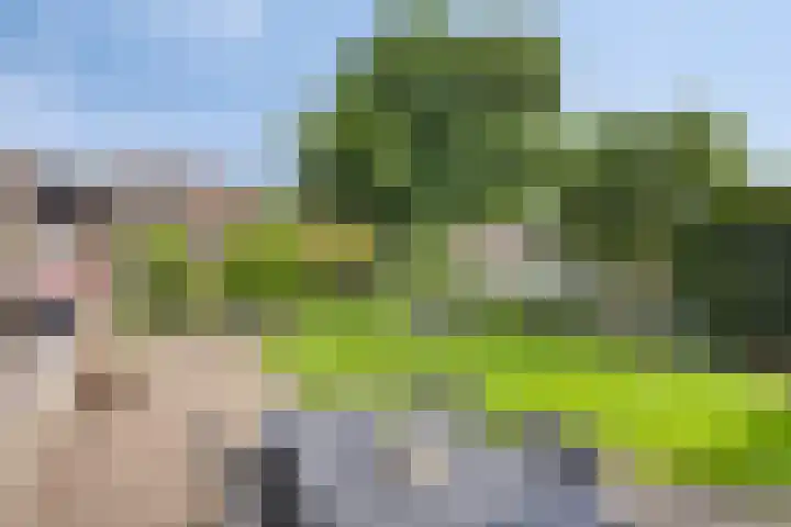Loostreeplaan 42 Someren thumbnail 4