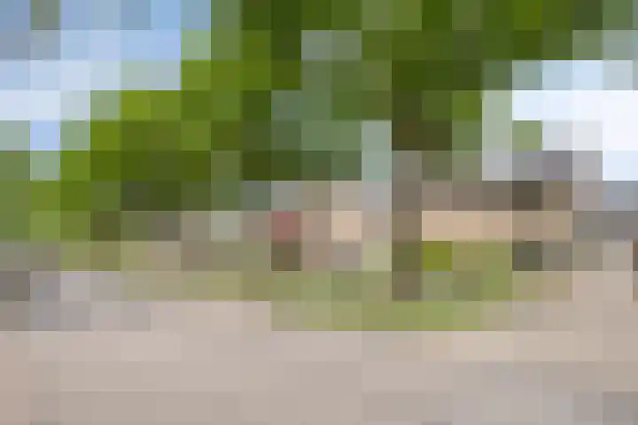 Loostreeplaan 42 Someren thumbnail 40