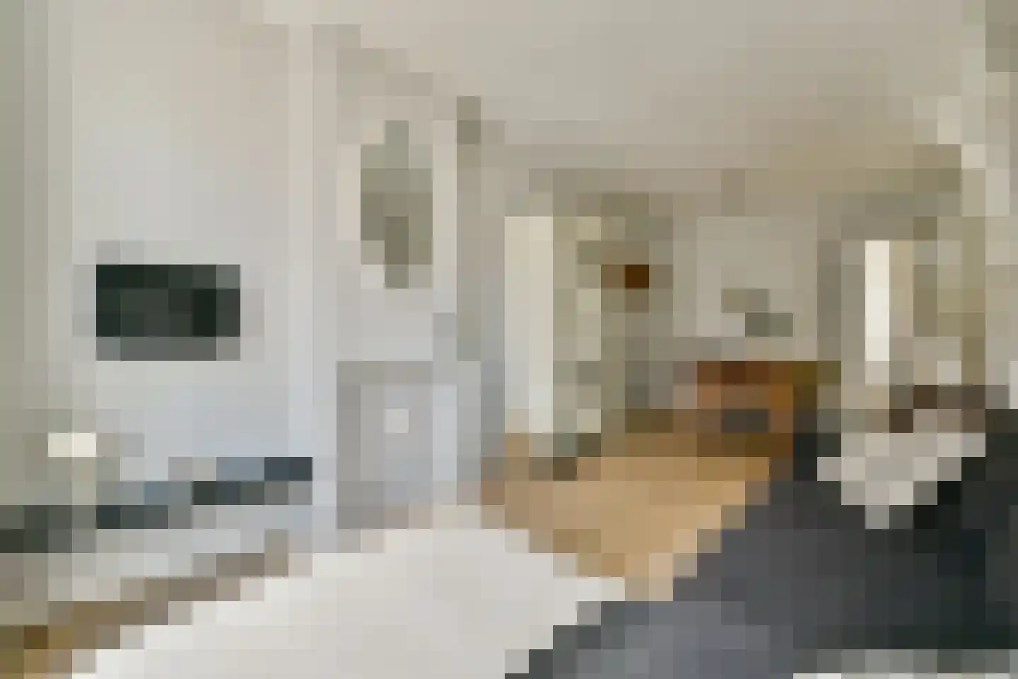 Lootsstraat 18 1 Amsterdam thumbnail 7
