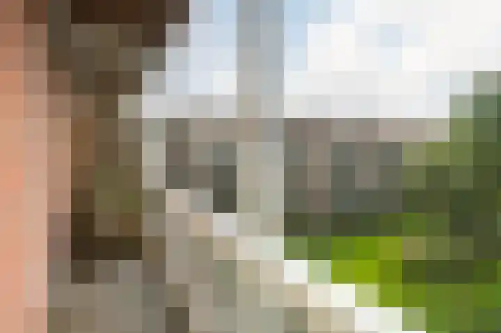 Lootsstraat 20 1 Amsterdam thumbnail 12