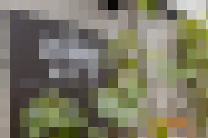 Lootsstraat 20 1 Amsterdam thumbnail 21