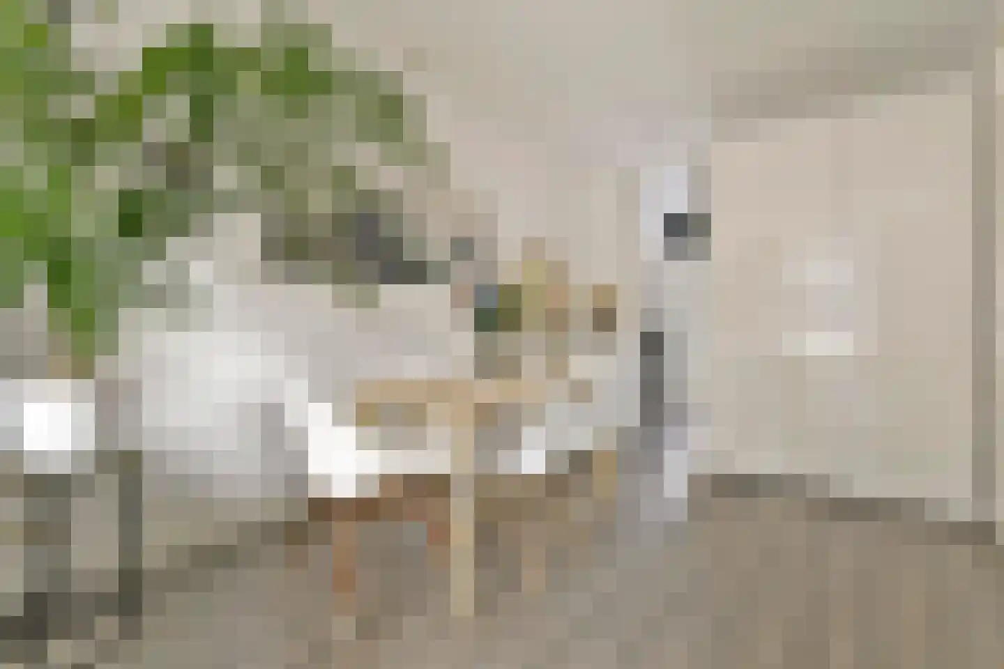 Lootsstraat 20 2 Amsterdam thumbnail 11