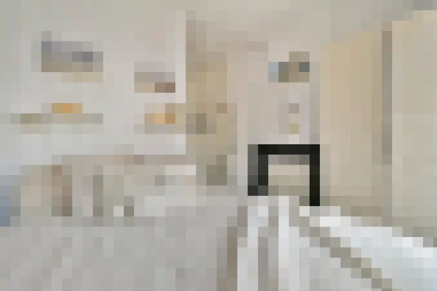 Lootsstraat 20 2 Amsterdam thumbnail 15