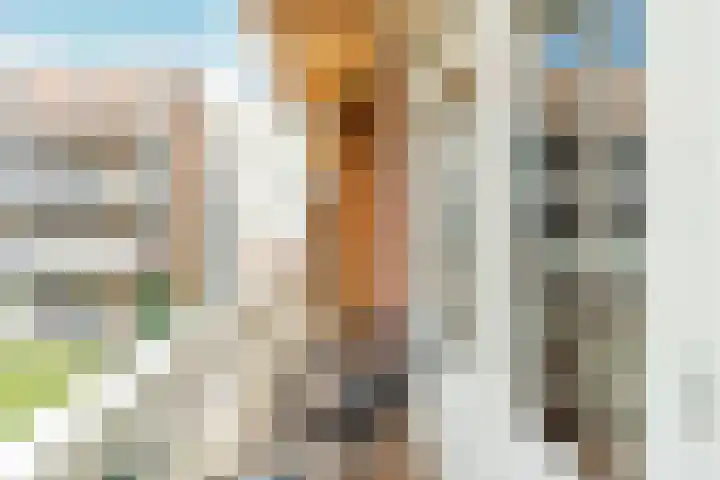 Lootsstraat 24 1 Amsterdam thumbnail 16