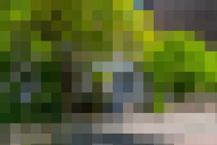 Lootsstraat 24 1 Amsterdam thumbnail 31