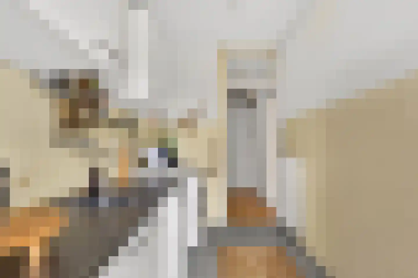 Lootsstraat 24 3 Amsterdam thumbnail 18