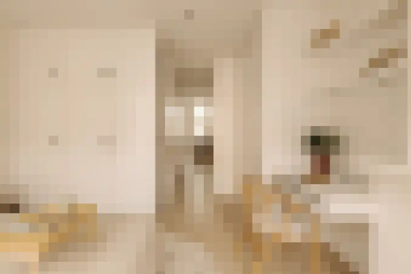 Lootsstraat 3 1 Amsterdam thumbnail 16