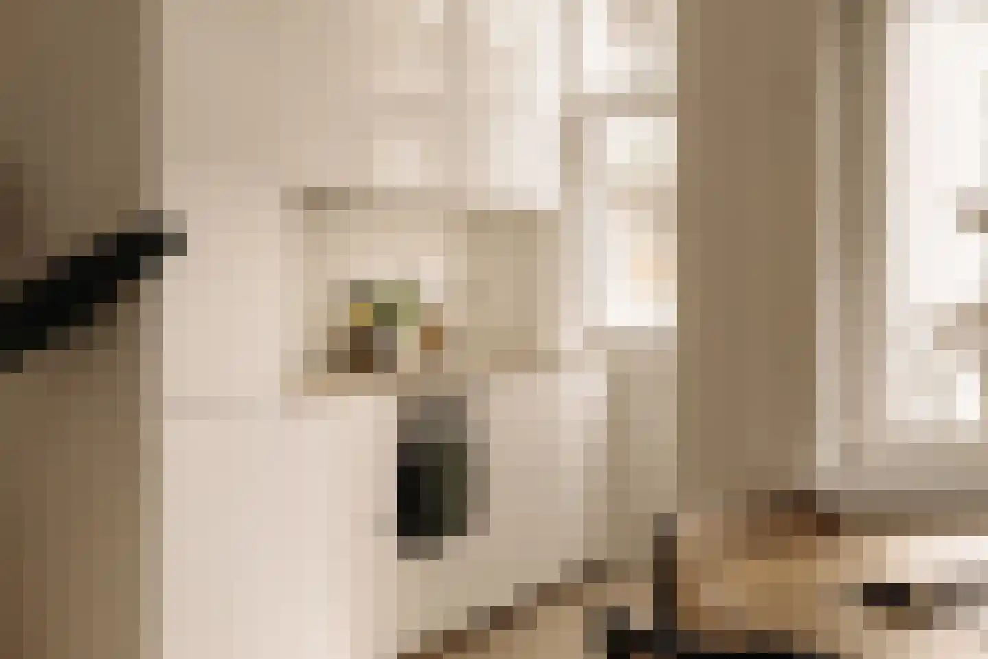 Lootsstraat 3 1 Amsterdam thumbnail 4