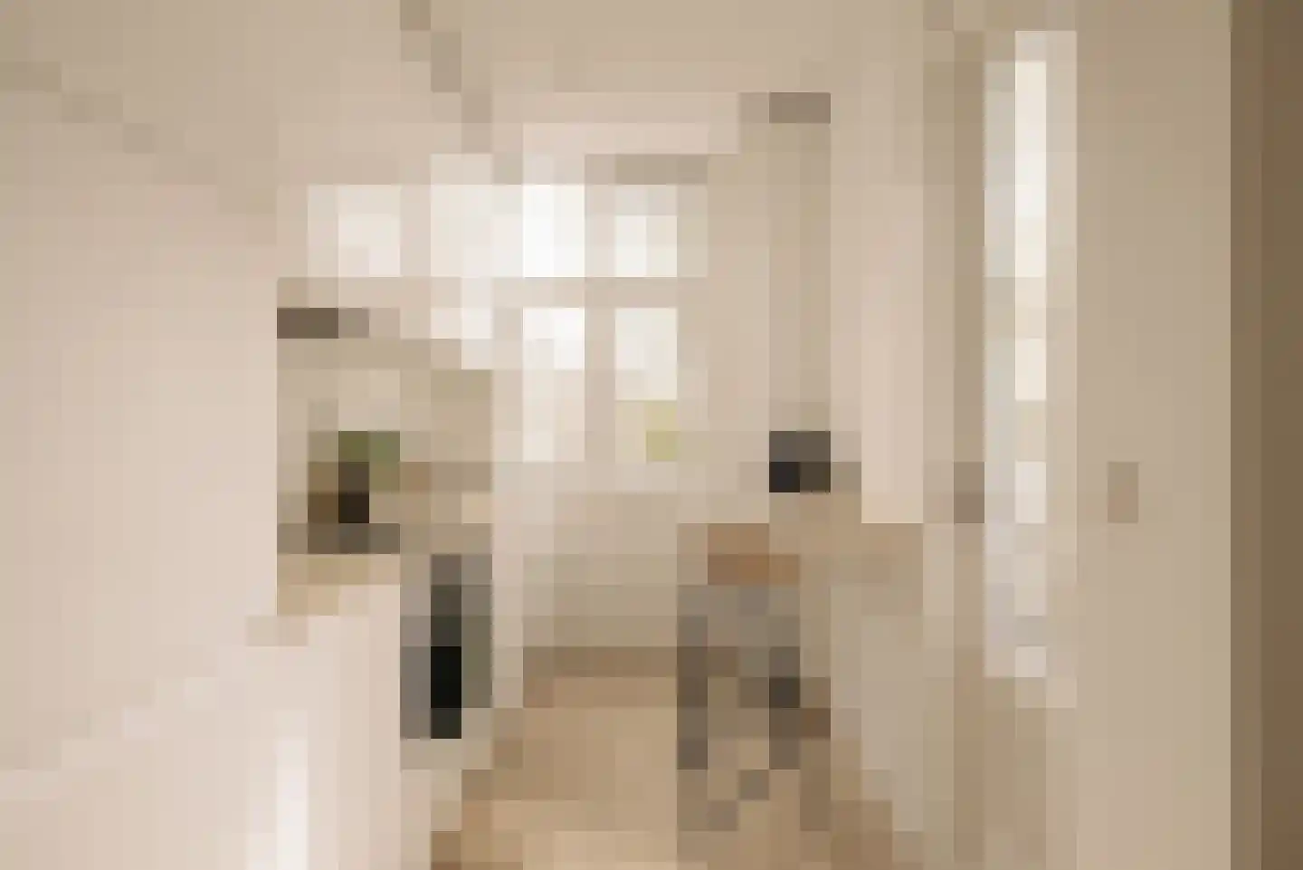 Lootsstraat 3 1 Amsterdam thumbnail 5