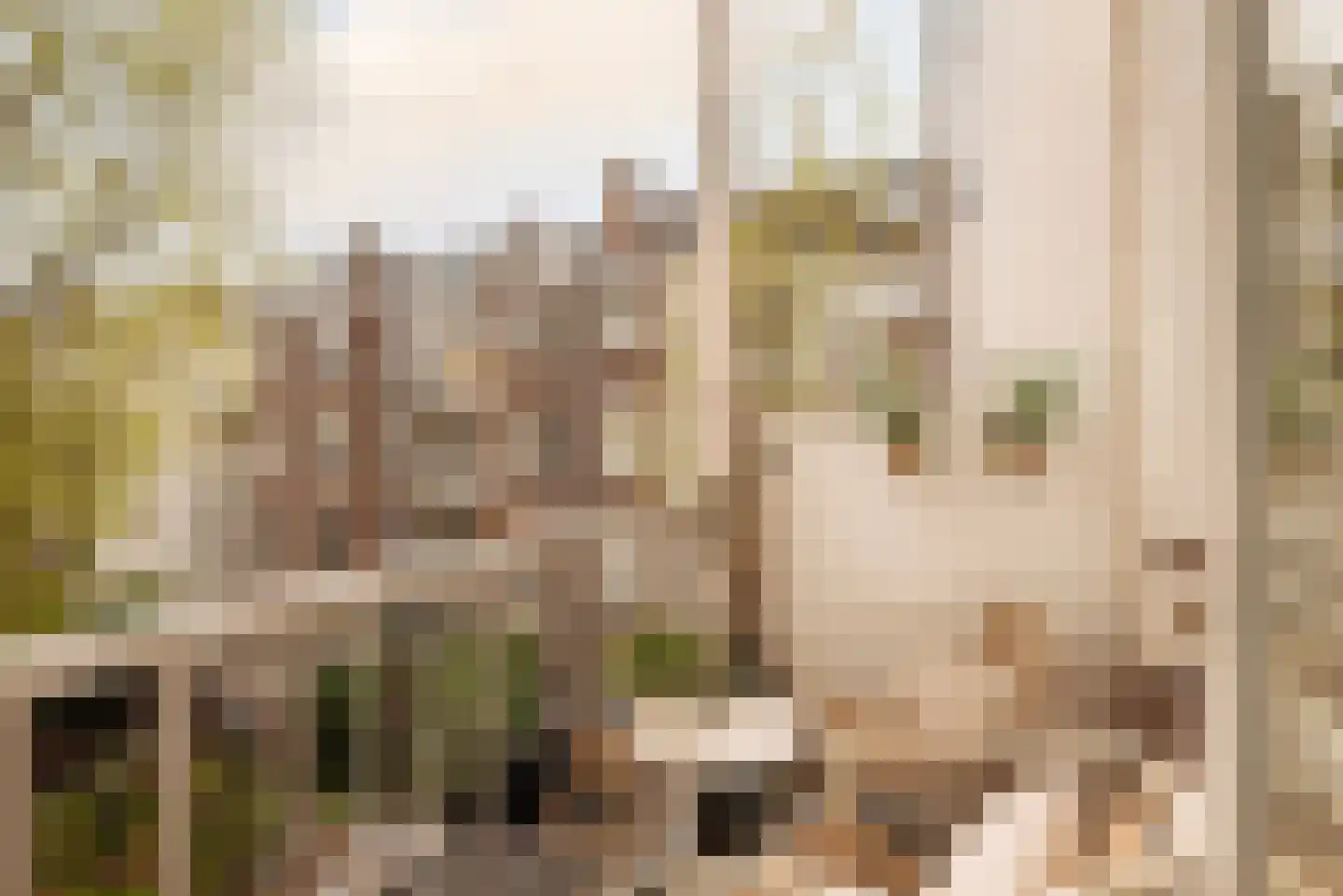 Lootsstraat 3 1 Amsterdam thumbnail 7
