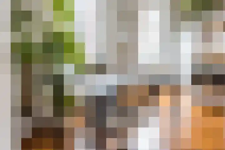 Lootsstraat 32 2 Amsterdam thumbnail 10