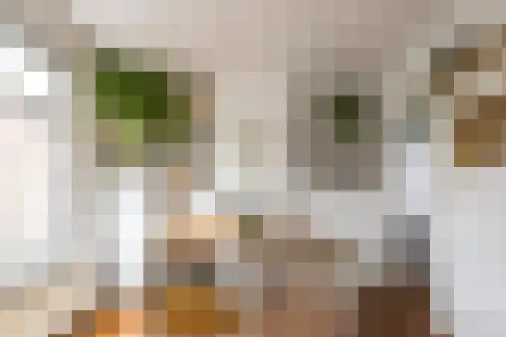 Lootsstraat 32 2 Amsterdam thumbnail 12