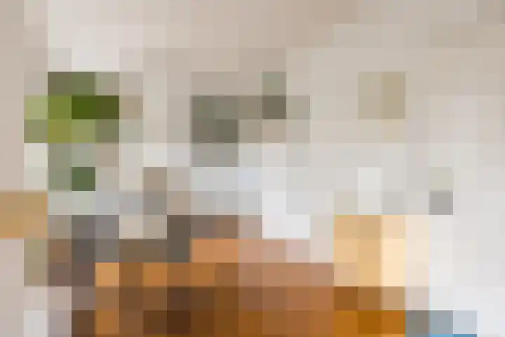 Lootsstraat 32 2 Amsterdam thumbnail 15