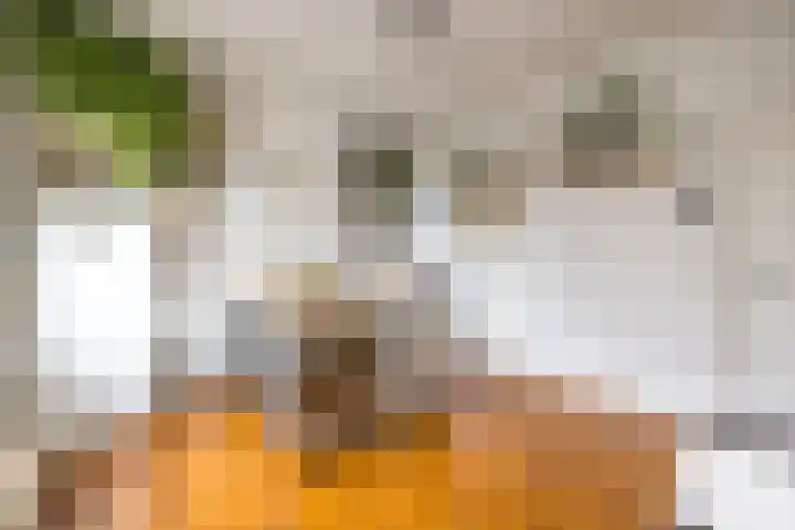 Lootsstraat 32 2 Amsterdam thumbnail 17