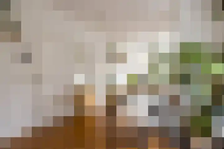 Lootsstraat 32 2 Amsterdam thumbnail 23
