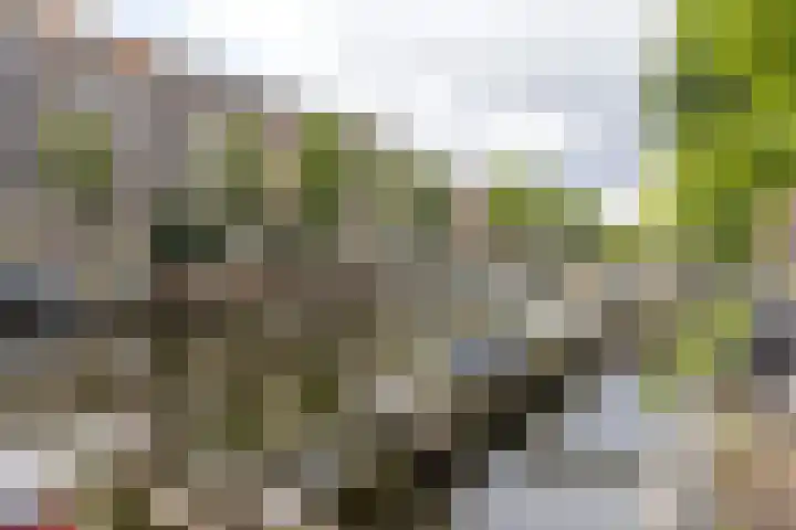 Lootsstraat 32 2 Amsterdam thumbnail 31