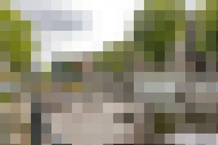 Lootsstraat 32 2 Amsterdam thumbnail 32