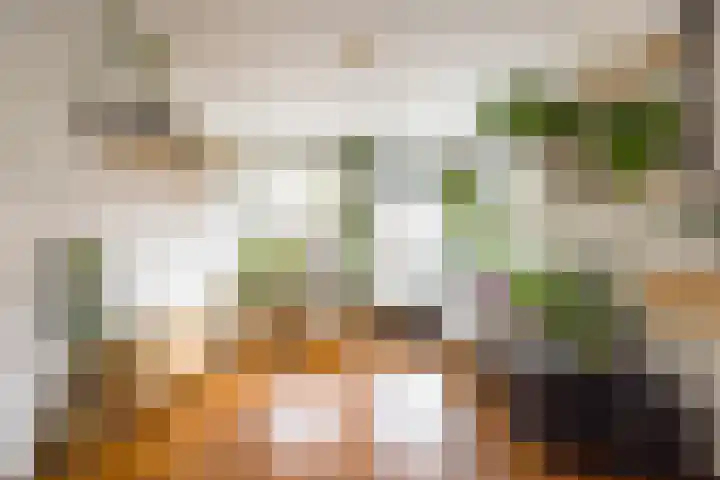 Lootsstraat 32 2 Amsterdam thumbnail 4