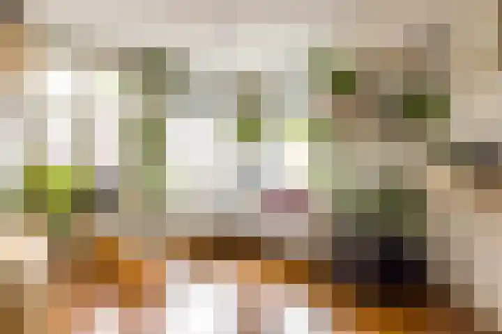 Lootsstraat 32 2 Amsterdam thumbnail 5