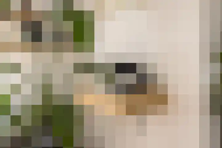 Lootsstraat 32 2 Amsterdam thumbnail 6