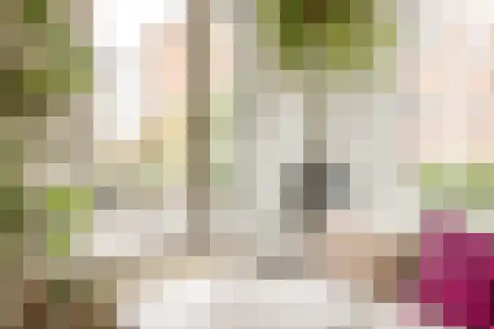 Lootsstraat 32 2 Amsterdam thumbnail 7