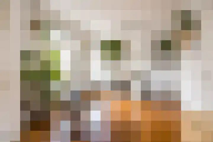Lootsstraat 32 2 Amsterdam thumbnail 9