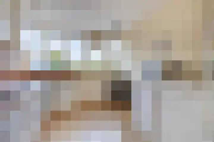 Looveltlaan 6 Oss thumbnail 10