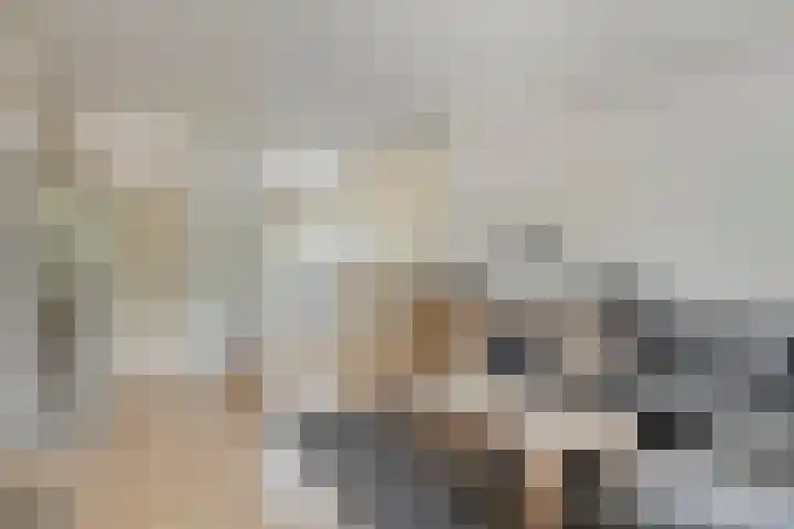 Looveltlaan 6 Oss thumbnail 12