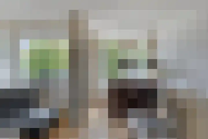 Looveltlaan 6 Oss thumbnail 13