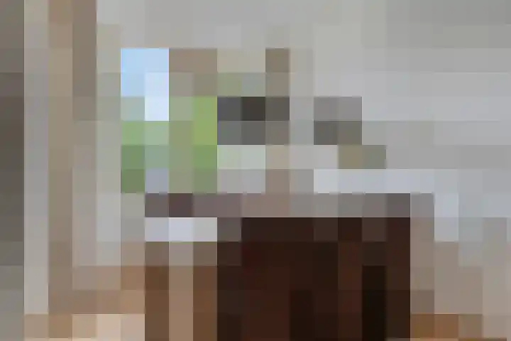 Looveltlaan 6 Oss thumbnail 14