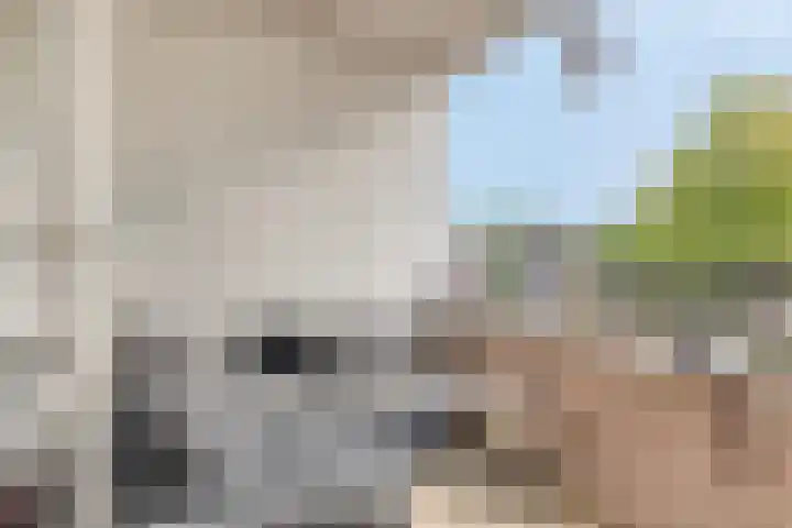 Looveltlaan 6 Oss thumbnail 16