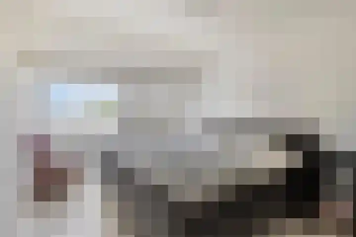 Looveltlaan 6 Oss thumbnail 22