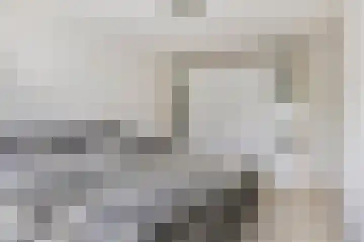 Looveltlaan 6 Oss thumbnail 23
