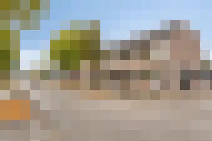 Looveltlaan 6 Oss thumbnail 31