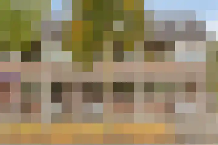 Looveltlaan 6 Oss thumbnail 32