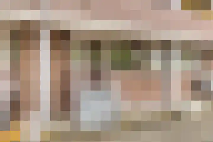 Looveltlaan 6 Oss thumbnail 4