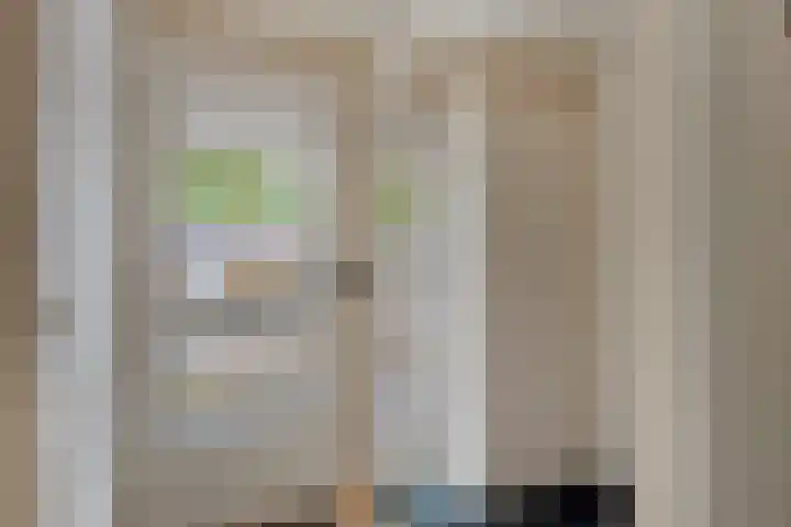 Looveltlaan 6 Oss thumbnail 5