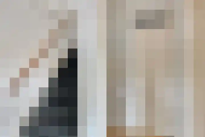 Looveltlaan 6 Oss thumbnail 8