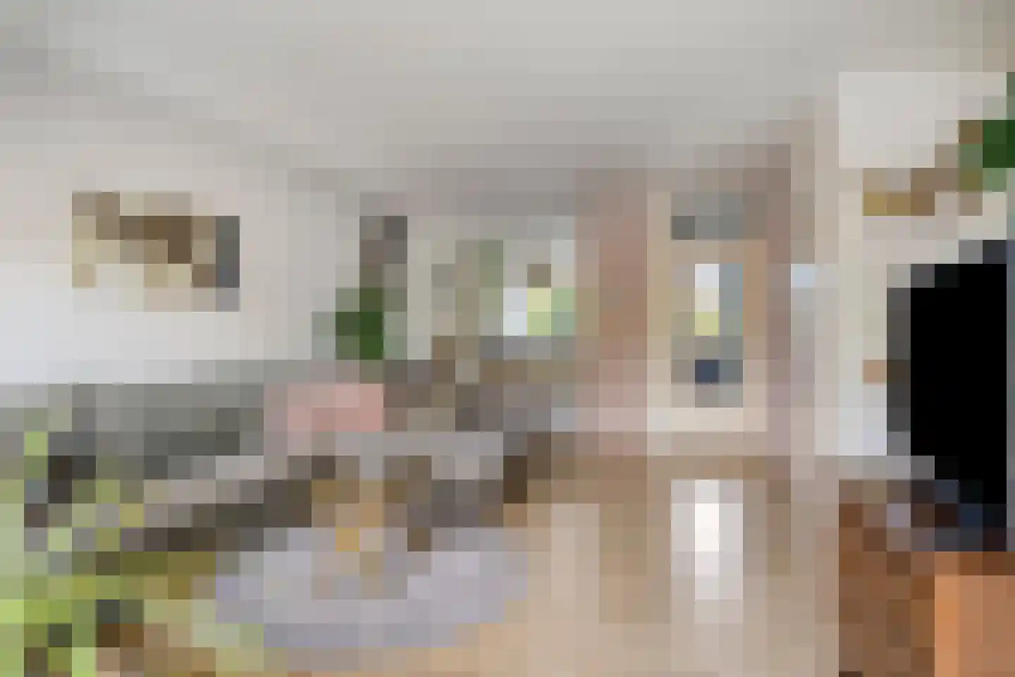 Looveltlaan 8 Oss thumbnail 13
