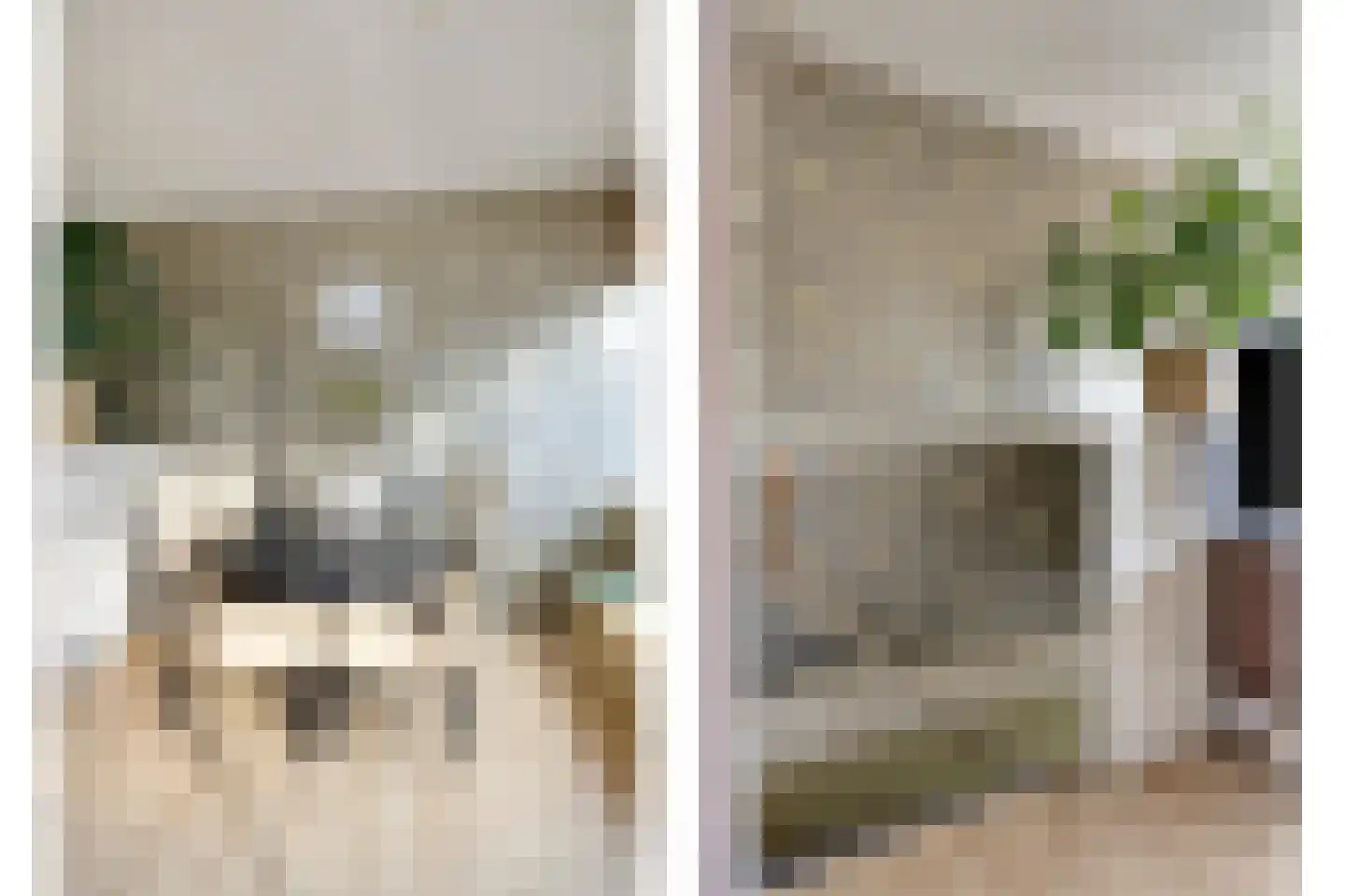 Looveltlaan 8 Oss thumbnail 14