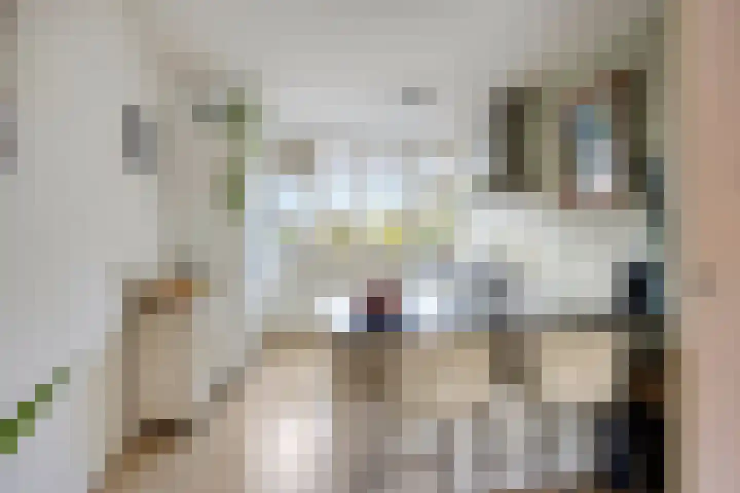 Looveltlaan 8 Oss thumbnail 15