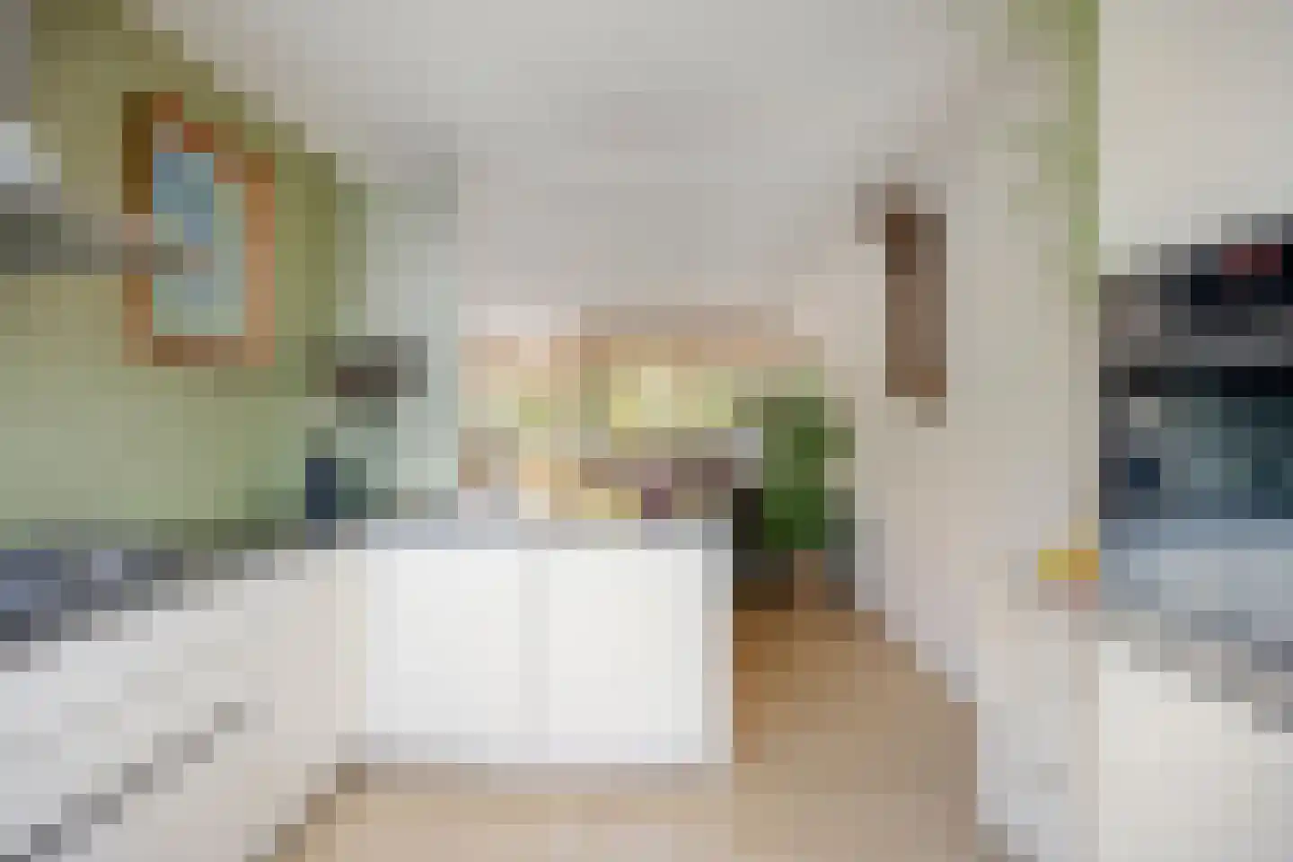 Looveltlaan 8 Oss thumbnail 16
