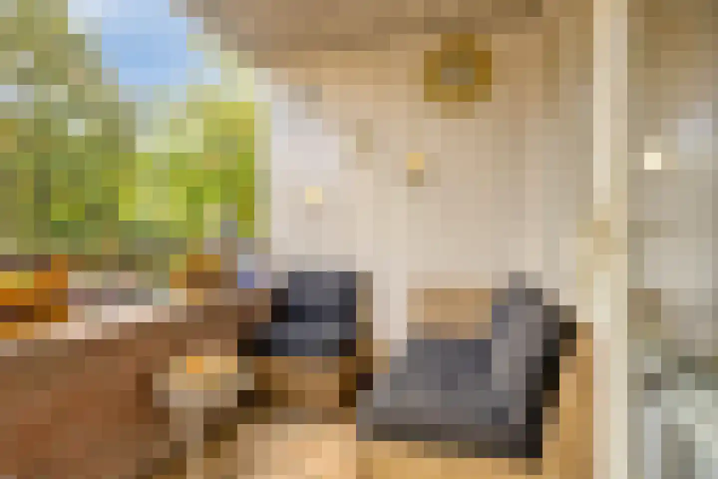 Looveltlaan 8 Oss thumbnail 17