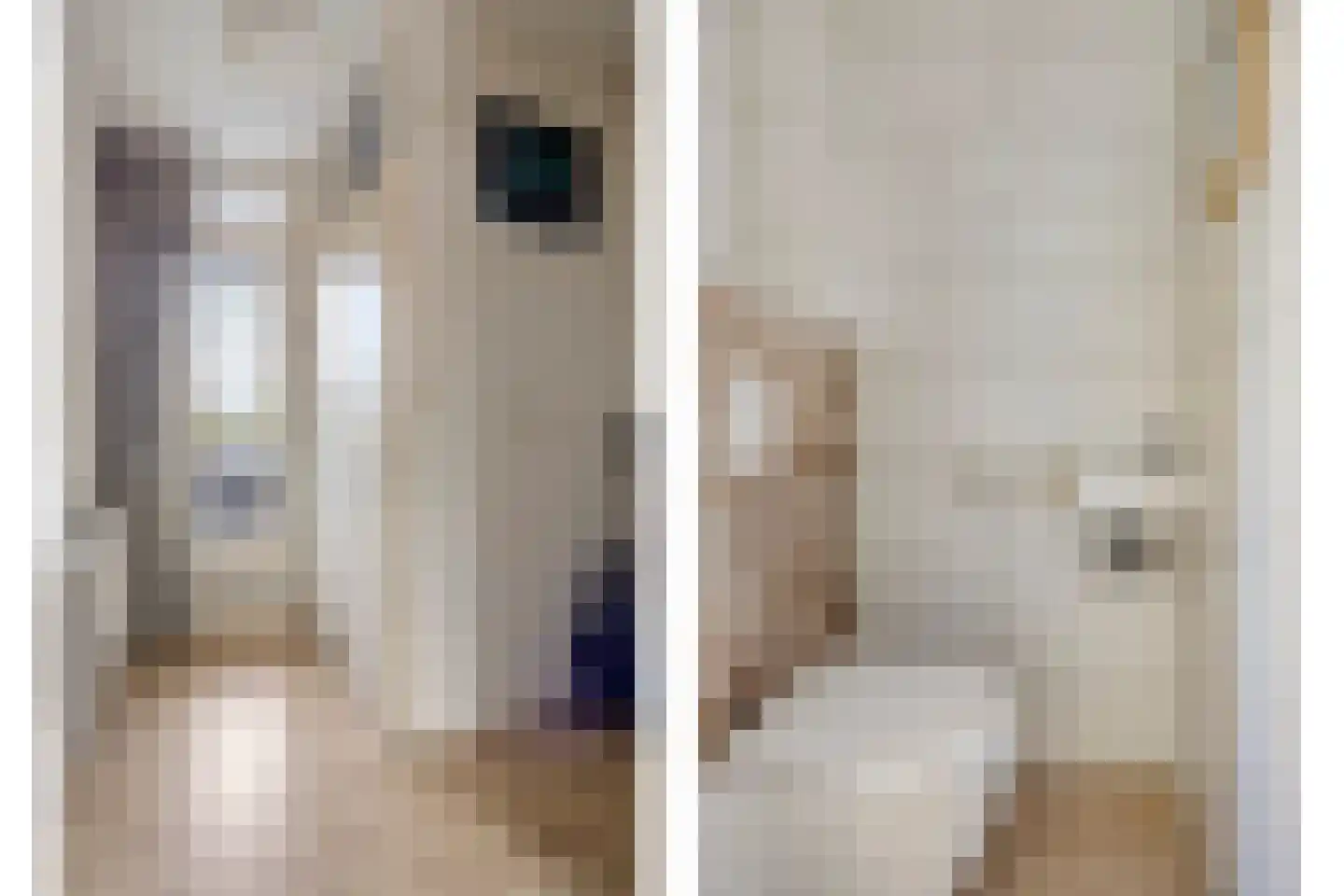 Looveltlaan 8 Oss thumbnail 20