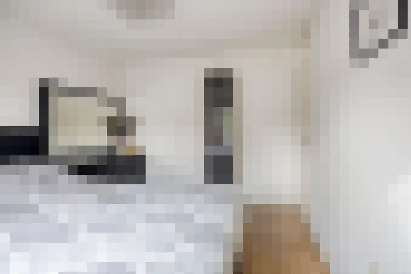 Looveltlaan 8 Oss thumbnail 24