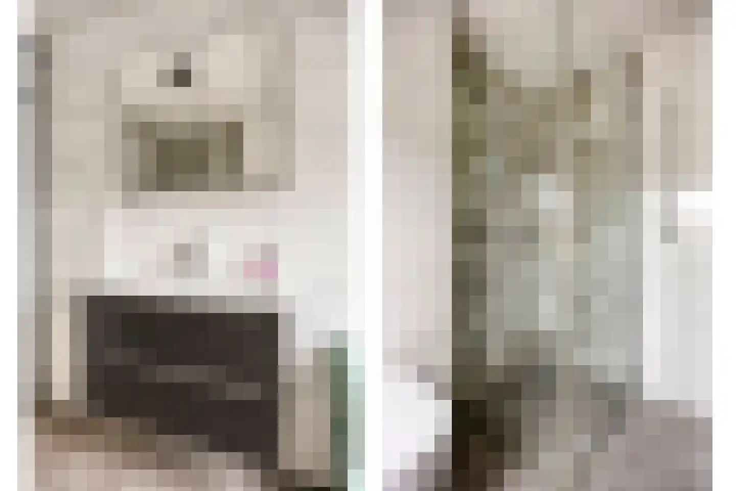 Looveltlaan 8 Oss thumbnail 26