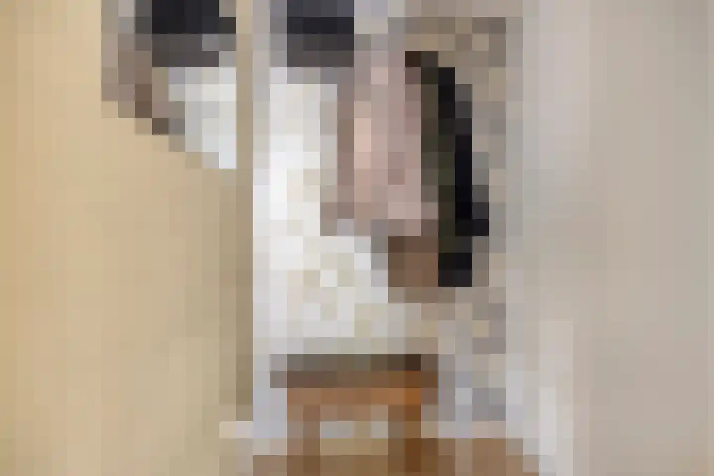 Looveltlaan 8 Oss thumbnail 8