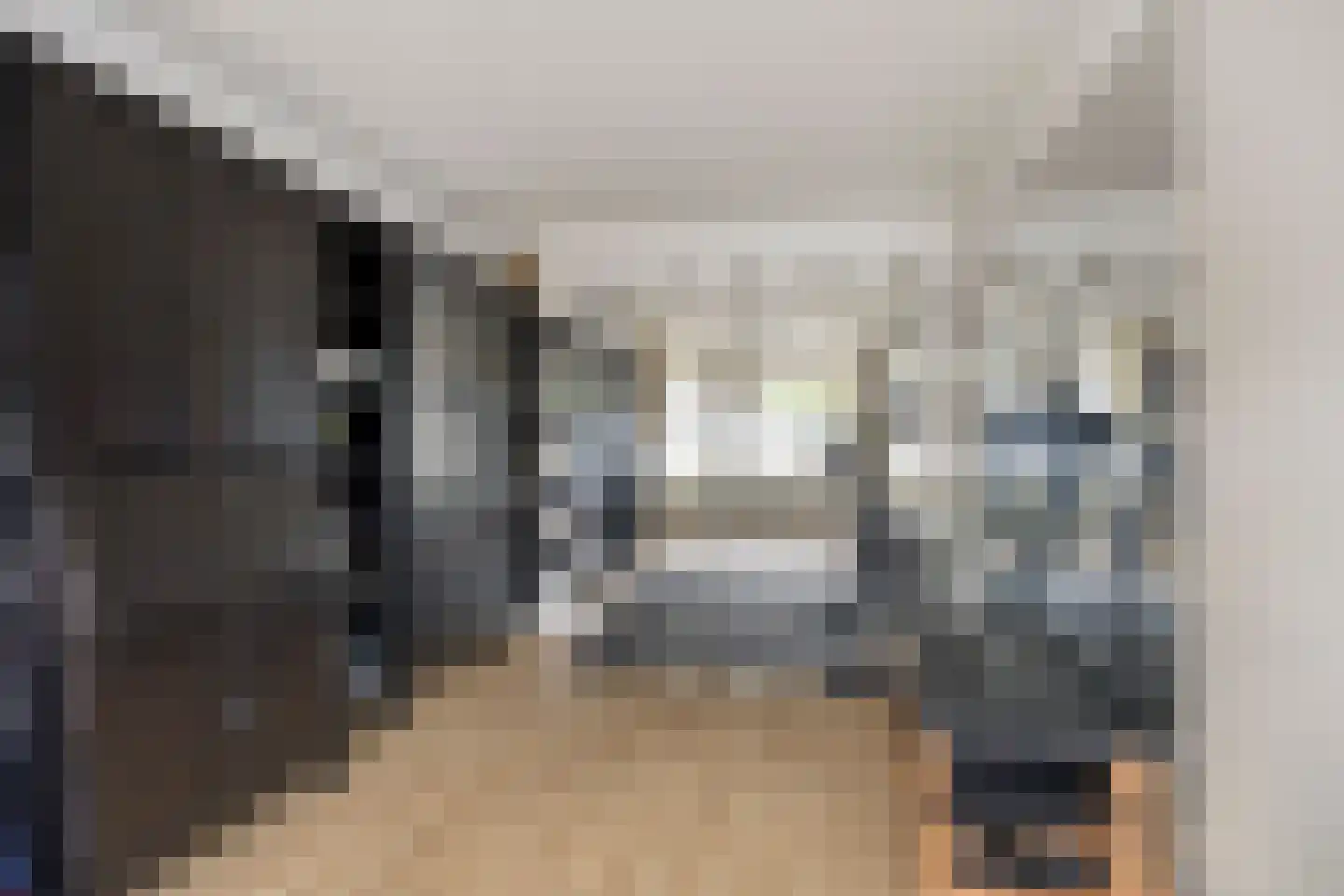 Looveltlaan 8 Oss thumbnail 9